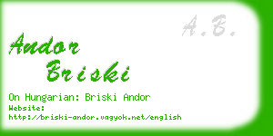 andor briski business card